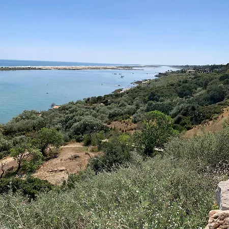 De La Casa Paraiso Avec, En Plus, Terrasse Privative Exterieure Semi Couverte Equipee D'un Salon D'un Coin Repas D'une Kitchenette, La Grande Piscine Et Les Jardins Sont Partages, A Proximite Des Plages De Fuseta Et De La Ria Formosa *