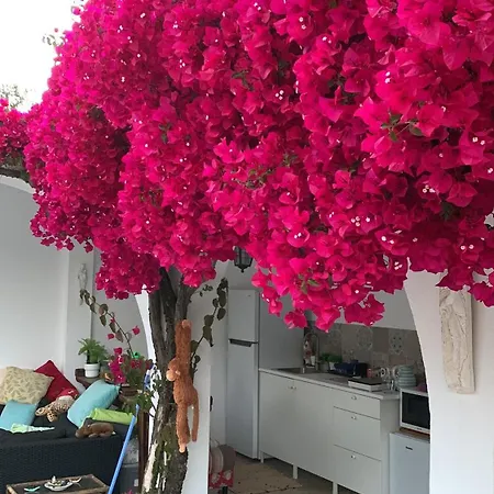 De La Casa Paraiso Avec, En Plus, Terrasse Privative Exterieure Semi Couverte Equipee D'un Salon D'un Coin Repas D'une Kitchenette, La Grande Piscine Et Les Jardins Sont Partages, A Proximite Des Plages De Fuseta Et De La Ria Formosa Holiday home Moncarapacho