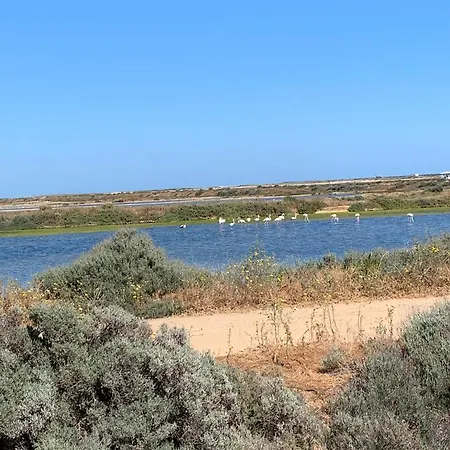 De La Casa Paraiso Avec, En Plus, Terrasse Privative Exterieure Semi Couverte Equipee D'un Salon D'un Coin Repas D'une Kitchenette, La Grande Piscine Et Les Jardins Sont Partages, A Proximite Des Plages De Fuseta Et De La Ria Formosa