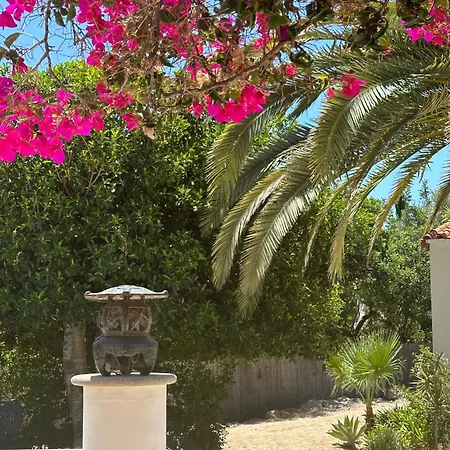 De La Casa Paraiso Avec, En Plus, Terrasse Privative Exterieure Semi Couverte Equipee D'un Salon D'un Coin Repas D'une Kitchenette, La Grande Piscine Et Les Jardins Sont Partages, A Proximite Des Plages De Fuseta Et De La Ria Formosa *