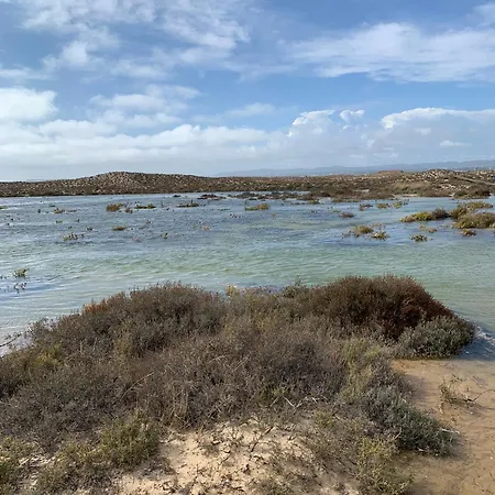De La Casa Paraiso Avec, En Plus, Terrasse Privative Exterieure Semi Couverte Equipee D'un Salon D'un Coin Repas D'une Kitchenette, La Grande Piscine Et Les Jardins Sont Partages, A Proximite Des Plages De Fuseta Et De La Ria Formosa Moncarapacho