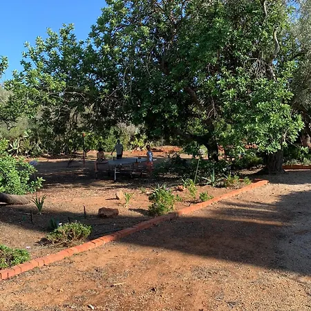 Holiday home De La Casa Paraiso Avec, En Plus, Terrasse Privative Exterieure Semi Couverte Equipee D'un Salon D'un Coin Repas D'une Kitchenette, La Grande Piscine Et Les Jardins Sont Partages, A Proximite Des Plages De Fuseta Et De La Ria Formosa Moncarapacho