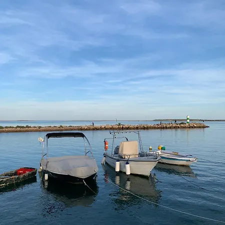 De La Casa Paraiso Avec, En Plus, Terrasse Privative Exterieure Semi Couverte Equipee D'un Salon D'un Coin Repas D'une Kitchenette, La Grande Piscine Et Les Jardins Sont Partages, A Proximite Des Plages De Fuseta Et De La Ria Formosa Moncarapacho