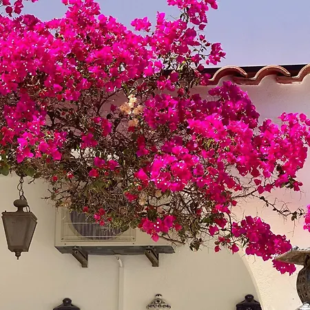 De La Casa Paraiso Avec, En Plus, Terrasse Privative Exterieure Semi Couverte Equipee D'un Salon D'un Coin Repas D'une Kitchenette, La Grande Piscine Et Les Jardins Sont Partages, A Proximite Des Plages De Fuseta Et De La Ria Formosa