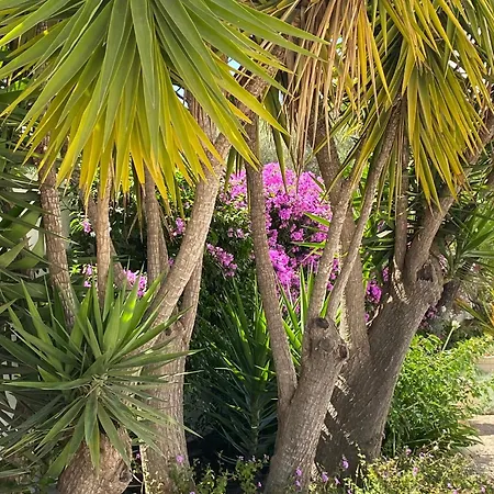 De La Casa Paraiso Avec, En Plus, Terrasse Privative Exterieure Semi Couverte Equipee D'un Salon D'un Coin Repas D'une Kitchenette, La Grande Piscine Et Les Jardins Sont Partages, A Proximite Des Plages De Fuseta Et De La Ria Formosa Moncarapacho
