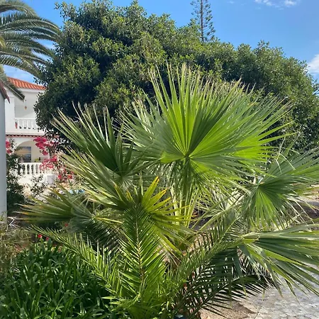 Prázdninový dům De La Casa Paraiso Avec, En Plus, Terrasse Privative Exterieure Semi Couverte Equipee D'un Salon D'un Coin Repas D'une Kitchenette, La Grande Piscine Et Les Jardins Sont Partages, A Proximite Des Plages De Fuseta Et De La Ria Formosa Moncarapacho