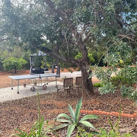 De La Casa Paraiso Avec, En Plus, Terrasse Privative Exterieure Semi Couverte Equipee D'un Salon D'un Coin Repas D'une Kitchenette, La Grande Piscine Et Les Jardins Sont Partages, A Proximite Des Plages De Fuseta Et De La Ria Formosa