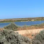 De La Casa Paraiso Avec, En Plus, Terrasse Privative Exterieure Semi Couverte Equipee D'un Salon D'un Coin Repas D'une Kitchenette, La Grande Piscine Et Les Jardins Sont Partages, A Proximite Des Plages De Fuseta Et De La Ria Formosa