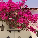 De La Casa Paraiso Avec, En Plus, Terrasse Privative Exterieure Semi Couverte Equipee D'un Salon D'un Coin Repas D'une Kitchenette, La Grande Piscine Et Les Jardins Sont Partages, A Proximite Des Plages De Fuseta Et De La Ria Formosa