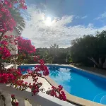 Casa vacanze De La Casa Paraiso Avec, En Plus, Terrasse Privative Exterieure Semi Couverte Equipee D'un Salon D'un Coin Repas D'une Kitchenette, La Grande Piscine Et Les Jardins Sont Partages, A Proximite Des Plages De Fuseta Et De La Ria Formosa