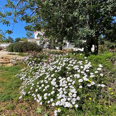 De La Casa Paraiso Avec, En Plus, Terrasse Privative Exterieure Semi Couverte Equipee D'un Salon D'un Coin Repas D'une Kitchenette, La Grande Piscine Et Les Jardins Sont Partages, A Proximite Des Plages De Fuseta Et De La Ria Formosa * Moncarapacho