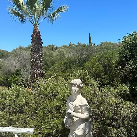 Ferienhaus De La Casa Paraiso Avec, En Plus, Terrasse Privative Exterieure Semi Couverte Equipee D'un Salon D'un Coin Repas D'une Kitchenette, La Grande Piscine Et Les Jardins Sont Partages, A Proximite Des Plages De Fuseta Et De La Ria Formosa *