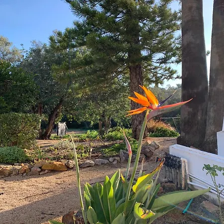 Vakantiehuis De La Casa Paraiso Avec, En Plus, Terrasse Privative Exterieure Semi Couverte Equipee D'un Salon D'un Coin Repas D'une Kitchenette, La Grande Piscine Et Les Jardins Sont Partages, A Proximite Des Plages De Fuseta Et De La Ria Formosa *
